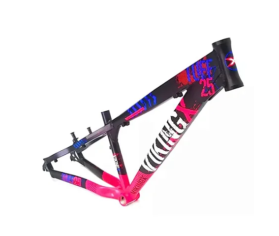 QUADRO BIKE VIKINGSrosa3